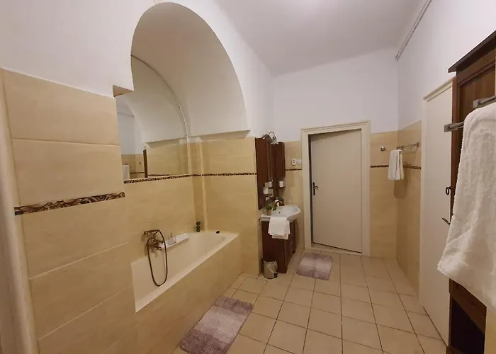 Enescu Apartment Timişoara