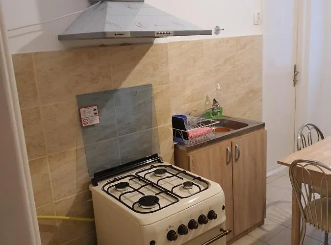 Apartment Enescu Timişoara