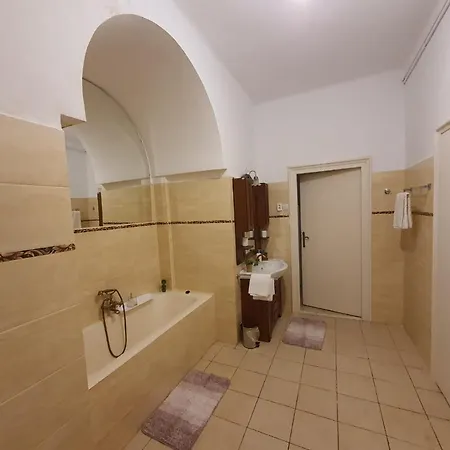 Enescu Apartment Timisoara